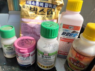 시골농부님의 농부님! 어떤 농약 쓰세요? · 참여 작성글 사진