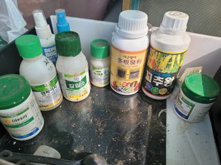 시골농부님의 농부님! 어떤 농약 쓰세요? · 참여 작성글 사진