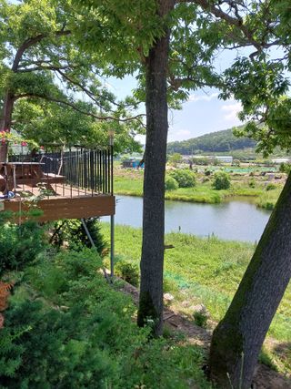 갑중봉황커피사과농장님의 자유주제 · 자유게시판 작성글 사진