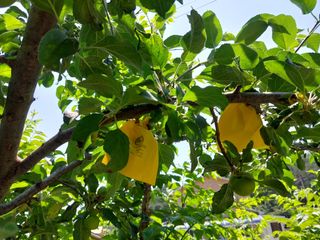 금동이네님의 기타작물 · 자유게시판 작성글 사진