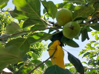 금동이네님의 기타작물 · 자유게시판 작성글 사진