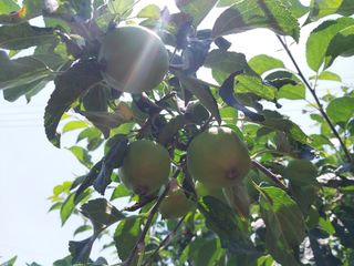 금동이네님의 기타작물 · 자유게시판 작성글 사진