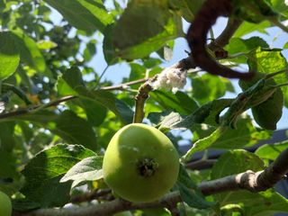 금동이네님의 기타작물 · 자유게시판 작성글 사진