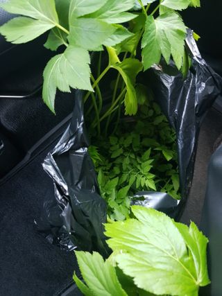 홍&이님의 자유주제 · 자유게시판 작성글 사진