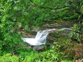오형섭 님의 우리동네 · 동네자랑 작성글 사진