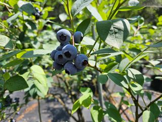 모란님의 작성글 사진