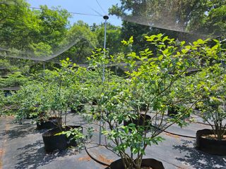 모란님의 작성글 사진