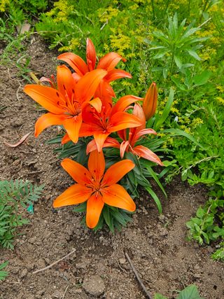 모란님의 작성글 사진