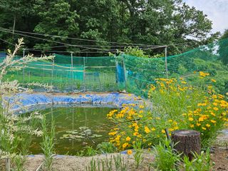 모란님의 작성글 사진