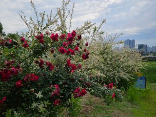 모란님의 작성글 사진