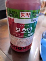 팜모닝 콩·자유게시판 게시글 이미지