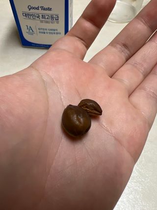 이것저것하는농부님의 포도 · 병해충상담 작성글 사진