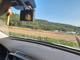 박정애님의 감자 · 자유게시판 작성글 사진