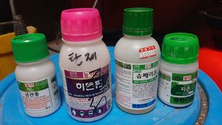 배상권님의 농부님! 어떤 농약 쓰세요? · 참여 작성글 사진