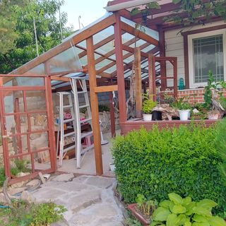 달맛햇복숭아농원님의 복숭아 · 자유게시판 작성글 사진