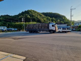 이재진님의 양파 · 자유게시판 작성글 사진