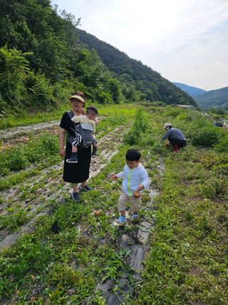 수기님의 양파 · 자유게시판 작성글 사진