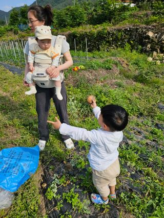 수기님의 양파 · 자유게시판 작성글 사진