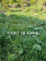 팜모닝 기타작물·자유게시판 게시글 이미지