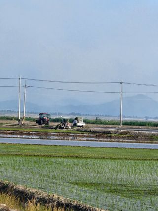 알 수 없음님의 우리동네 · 동네정보 작성글 사진