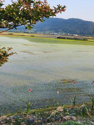 알 수 없음님의 우리동네 · 동네정보 작성글 사진