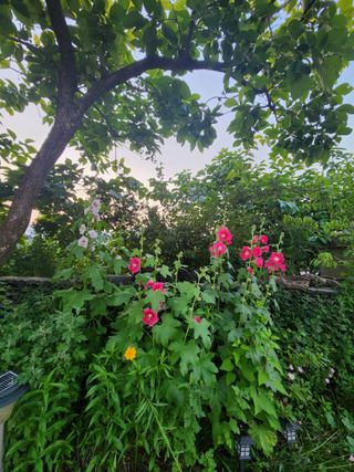 알 수 없음님의 우리동네 · 동네정보 작성글 사진