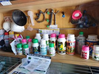 귀농4년차님의 농부님! 어떤 농약 쓰세요? · 참여 작성글 사진