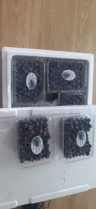 산마루농장님의 작성글 사진