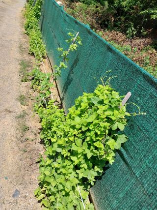 성주 농업인님의 자유주제 · 자유게시판 작성글 사진