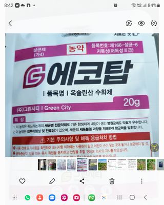 정용학님의 농부님! 어떤 농약 쓰세요? · 참여 작성글 사진