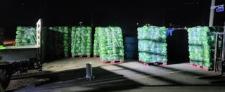 박호성님의 배추 · 수확 작성글 사진