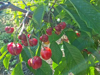 손석의님의 기타작물 · 자유게시판 작성글 사진