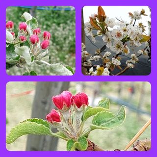 손윤영/수채화농원님의 작성글 사진