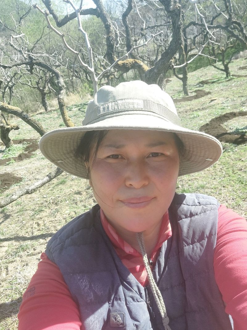 손윤영/수채화농원님의 장터 판매 상품 [ABC즙,사과즙] 첨부 사진