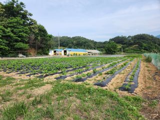 HYUN님의 참깨 · 자유게시판 작성글 사진
