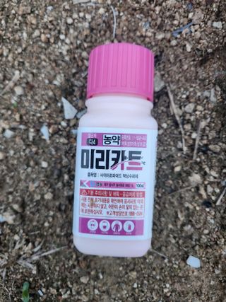 HYUN님의 참깨 · 자유게시판 작성글 사진