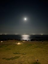 팜모닝 장터이야기·자유게시판 게시글 이미지