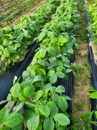 초보얌님의 우리동네 · 동네수다 작성글 사진