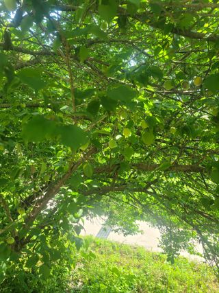 초보얌님의 우리동네 · 동네수다 작성글 사진