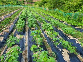 초보얌님의 우리동네 · 동네수다 작성글 사진
