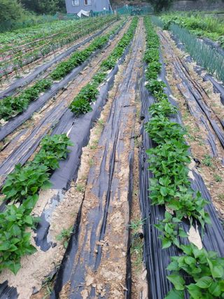 초보얌님의 우리동네 · 동네수다 작성글 사진