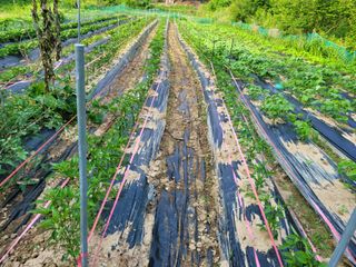 초보얌님의 우리동네 · 동네수다 작성글 사진