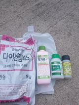 팜모닝 농부님! 어떤 농약 쓰세요?·참여 게시글 이미지