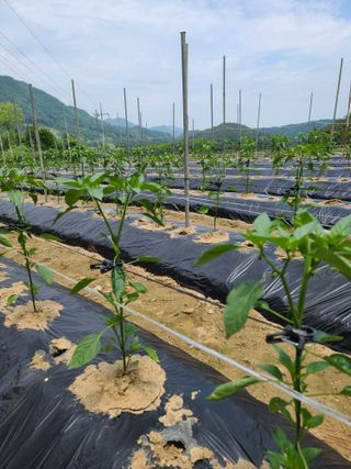 김태현님의 자유주제 · 자유게시판 작성글 사진