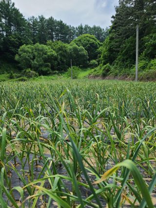 김태현님의 자유주제 · 자유게시판 작성글 사진