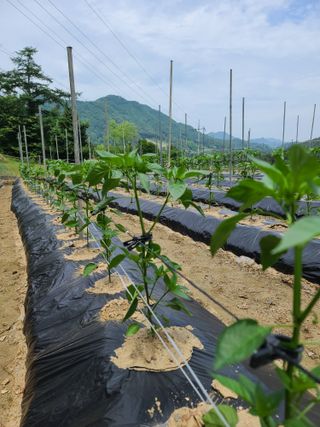 김태현님의 자유주제 · 자유게시판 작성글 사진