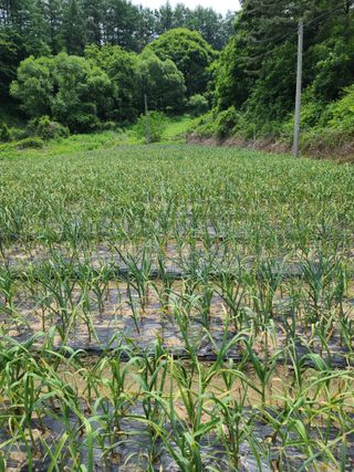 김태현님의 자유주제 · 자유게시판 작성글 사진