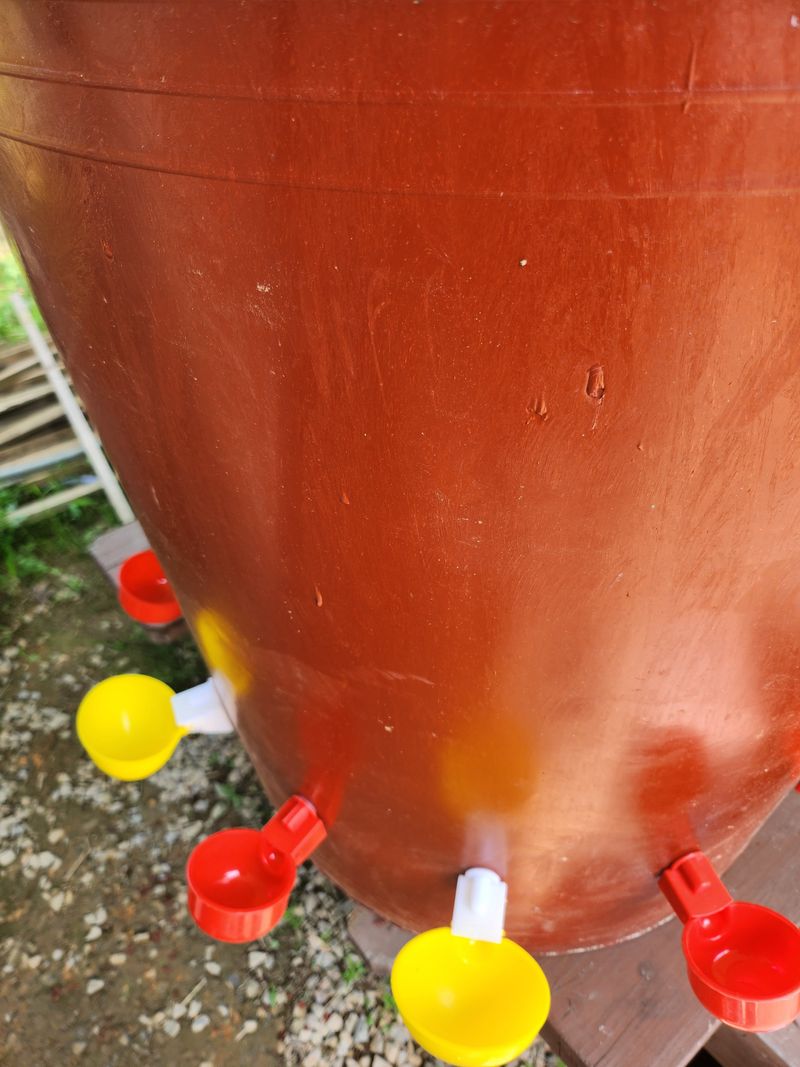 늘푸른농원님의 장터 판매 상품 [닭 자동 물컵] 첨부 사진