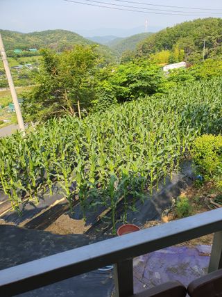 주*희님의 자유주제 · 자유게시판 작성글 사진