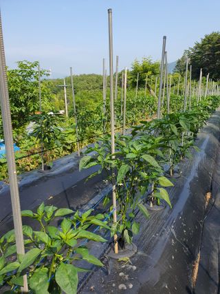 주*희님의 자유주제 · 자유게시판 작성글 사진